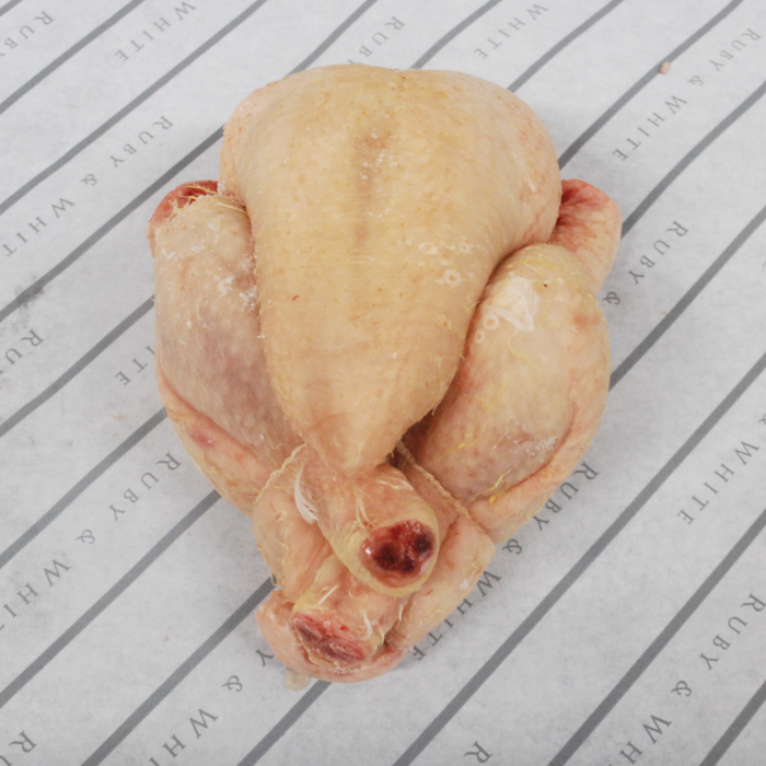 RubyWholesale: Poussin