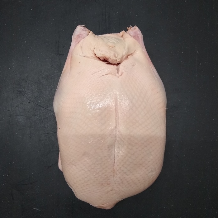 RubyWholesale: Duck, Whole, Free Range