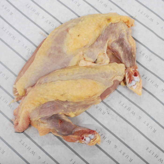 RubyWholesale: Guinea Fowl Supreme