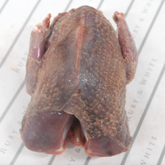 RubyWholesale: Pigeon