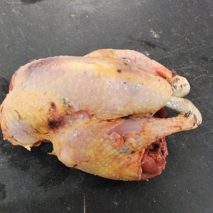 RubyWholesale: Pheasant