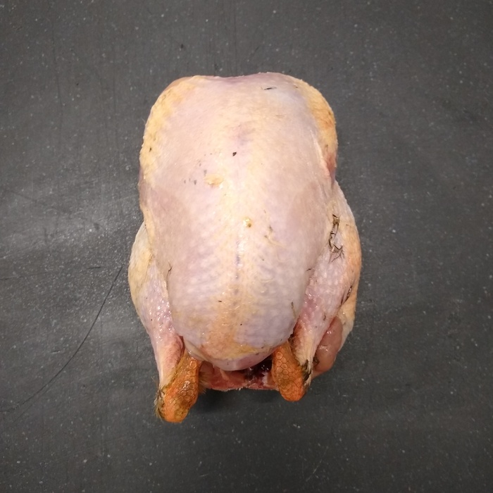 RubyWholesale: Partridge