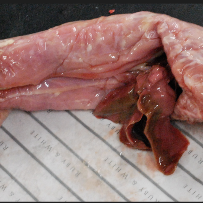 RubyWholesale: Farmed Rabbit