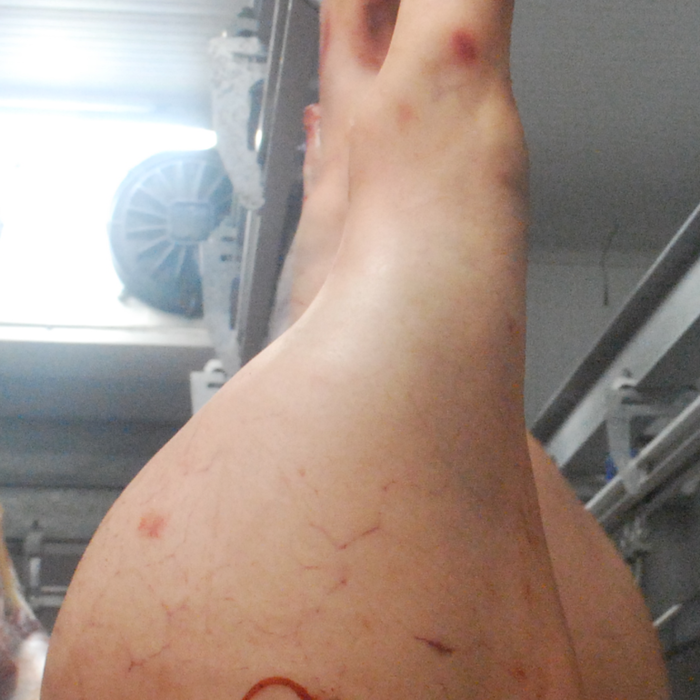 RubyWholesale: Leg of Pork 