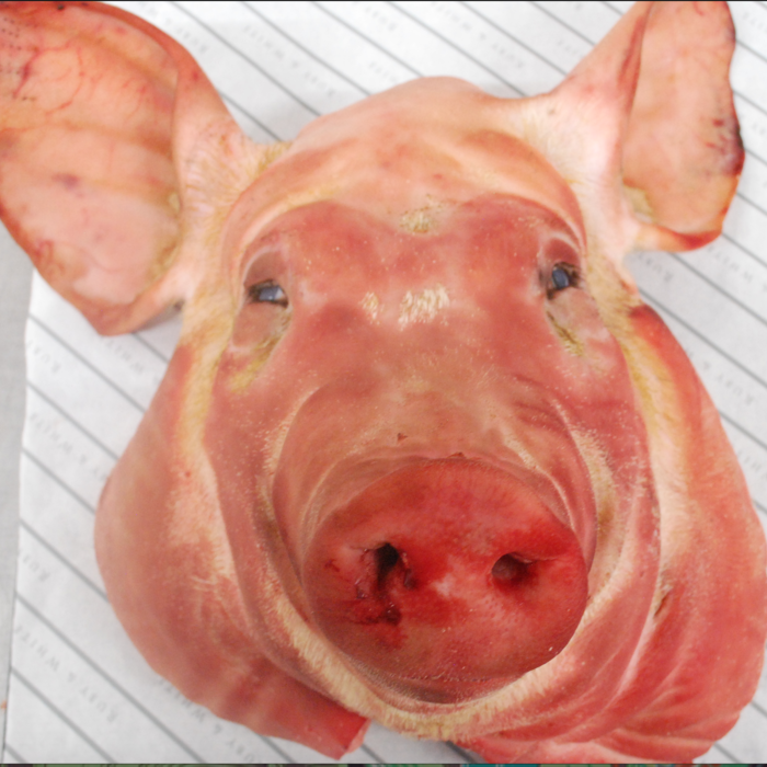 RubyWholesale: Pigs Head