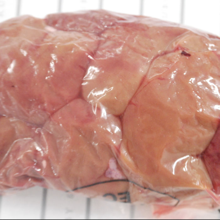 RubyWholesale: Ox Kidney